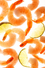 shrimps on the white