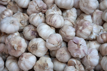 Close up on raw garlic on market stand