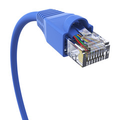 Blue network cable - closeup view