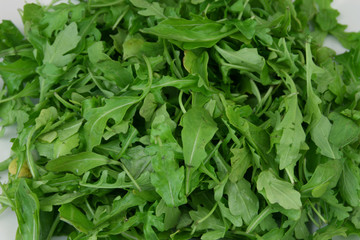 Rucola