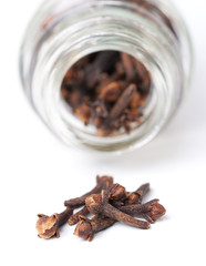 cloves
