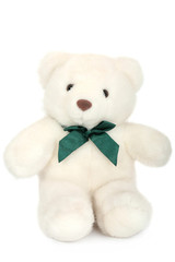 White polar teddy bear