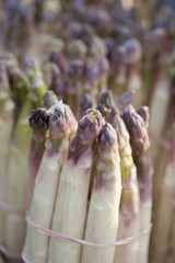 Botte d'asperges