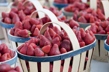 Obraz premium Panier de fraises
