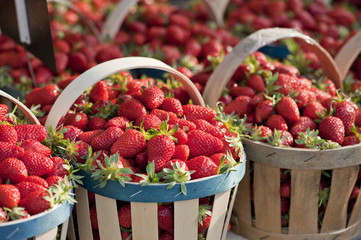 Obraz premium Panier de fraises