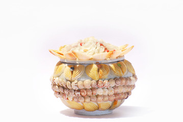 shell cup on the wall background