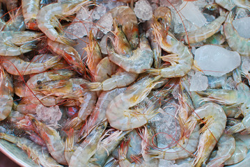 Fresh shrimps on ice tray in market