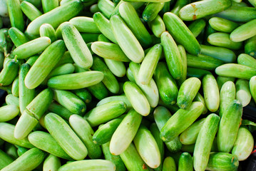 Fresh cucumber in market