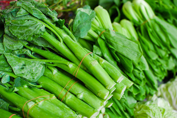 Fototapeta premium Fresh asian kale lettuce in market