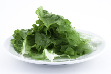 Lettuce