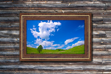 Picture frame to nature