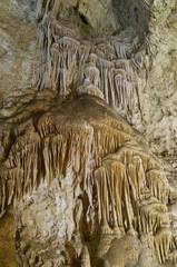 Draperies in Carlsbad Caverns, NM