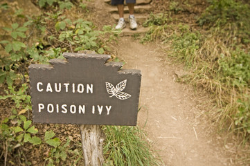 Caution Poison Ivy (Toxicodendron radicans)