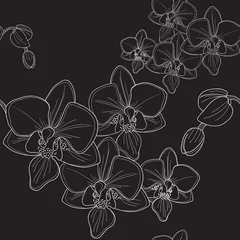 Papier Peint photo Fleurs noir et blanc orchidée