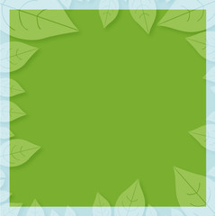 Fototapeta premium Cadre feuilles