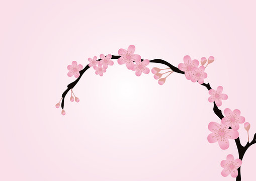 blossom