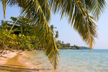Naklejka premium Beach , Thailand .