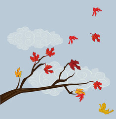 Autumn leaves