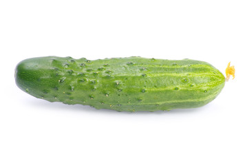 cucumber