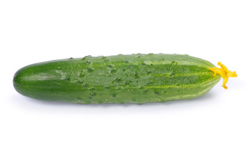 cucumbers