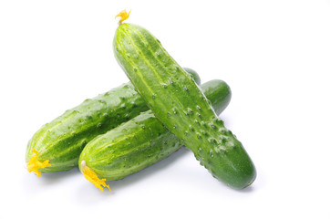 cucumber