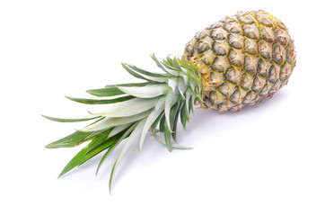 pineapple