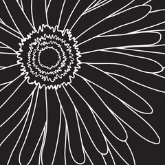 Photo sur Plexiglas Fleurs noir et blanc gerbera
