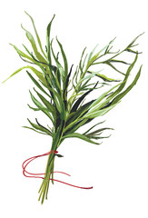 пучок травы