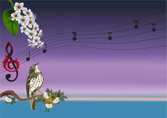 singing bird and flowers illustration