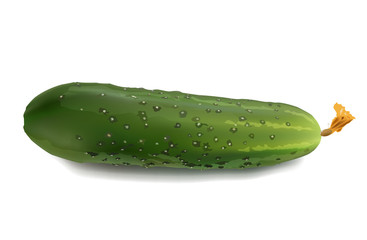 cucumber on white background