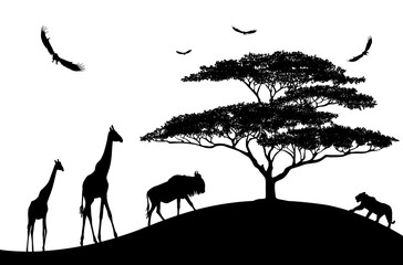 africa animals black silhouettes on a white