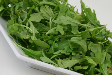 Rucola