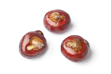 Whole fresh water chestnut