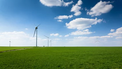 Photo sur Plexiglas Moulins groupe d'éoliennes