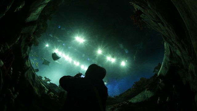 Oceanarium