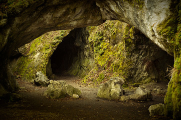 Green deep cave - 31732801