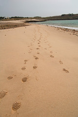 footsteps on the beach