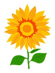 Sunflower. Vector