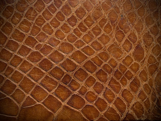 brown reptile leather close up