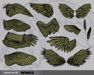 Vector set of  Wings