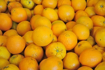 Closeup of oranges