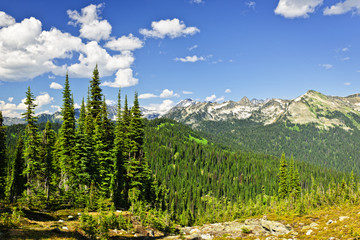 Rocky mountain view from Mount Revelstoke