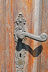 Naklejka premium handle and the beetles