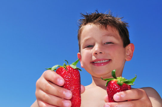 Obstz Images – Browse 1 Stock Photos, Vectors, and Video | Adobe Stock