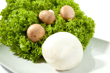 Pilz Salat