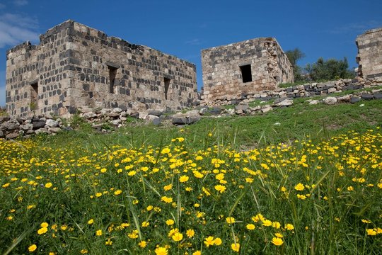 Umm Qays in Jordanien