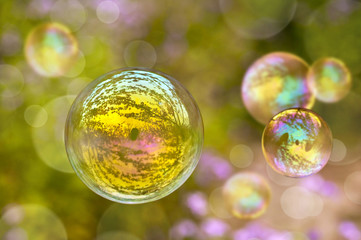 Légères bulles de savon flottant dans la nature, fonds vert, bokeh