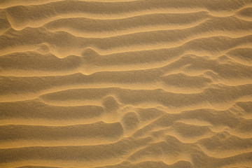 Sand desert Dune