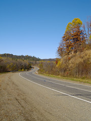 Mountain road to autumn wood