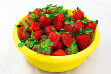 Fresh strawberry